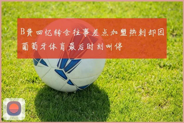 B费回忆转会往事差点加盟热刺却因葡萄牙体育最后时刻叫停