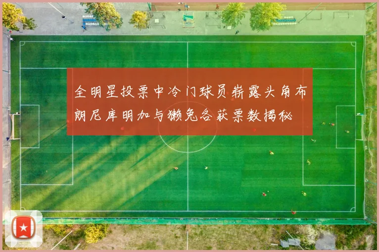 全明星投票中冷门球员崭露头角布朗尼库明加与獭兔各获票数揭秘