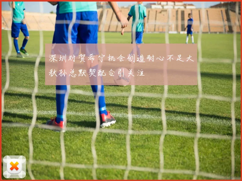 深圳对贺希宁机会创造耐心不足大秋孙总默契配合引关注