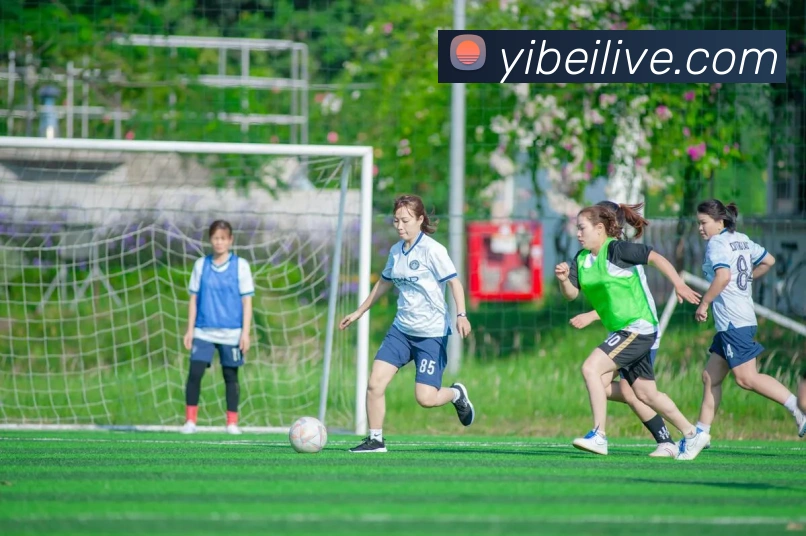 App Interface Preview