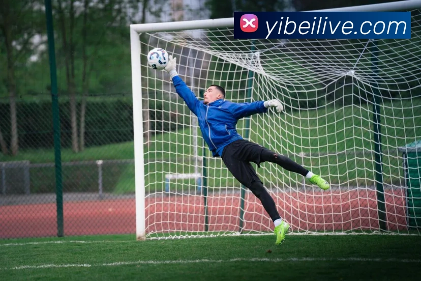 易倍体育APP 封面图